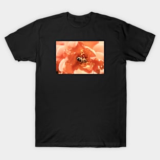 Honey bee & harmony / Swiss Artwork Photography T-Shirt